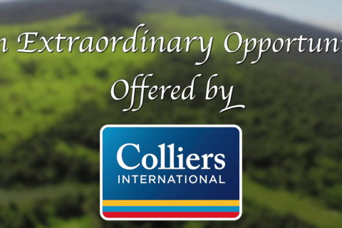 A lush green landscape with a mountain in the background, promoting real estate opportunities.